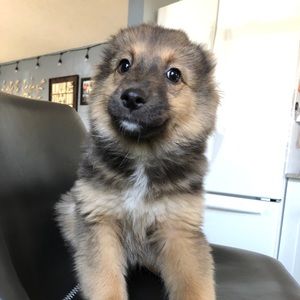 Meet your Posher, Kelsey